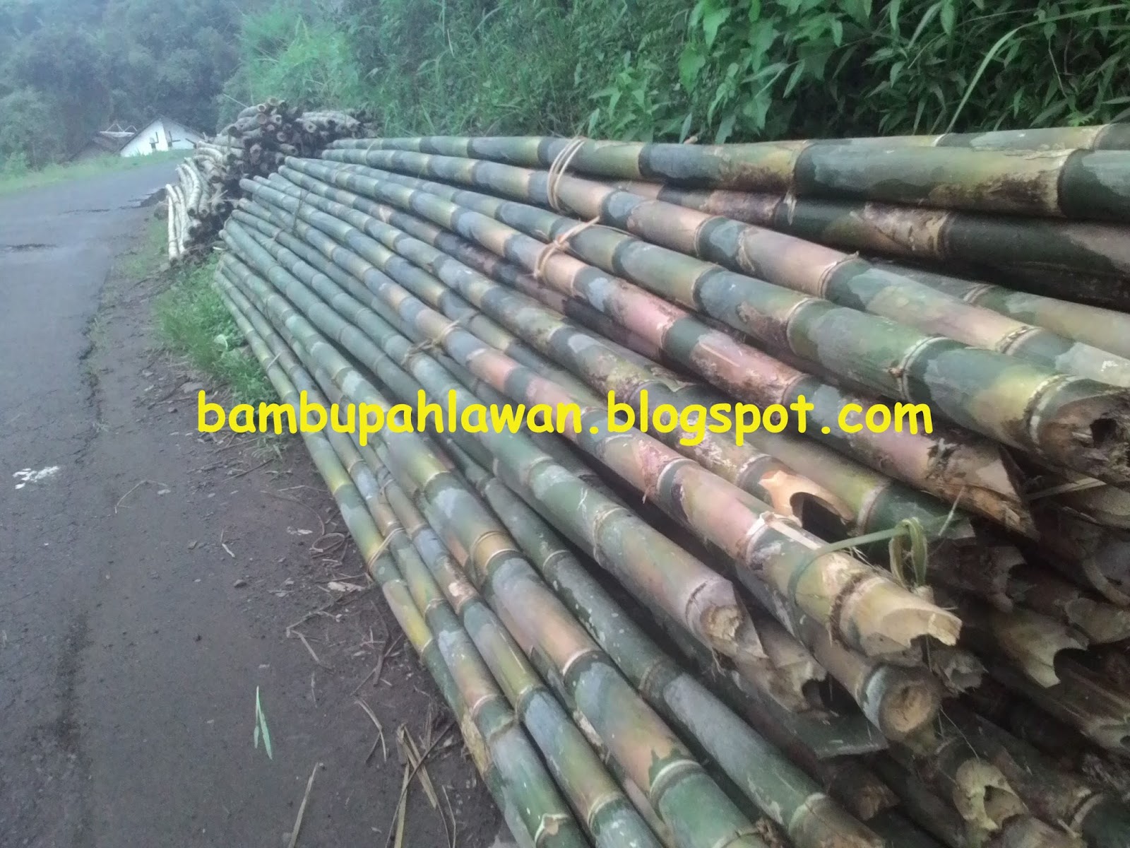  BAMBU  PAHLAWAN jual  bambu  sesek  gedek jakarta depok 