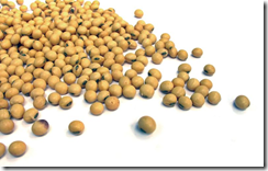 Porotos de soja