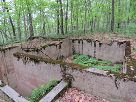 Ward Hills fire tower keeper's house foundation