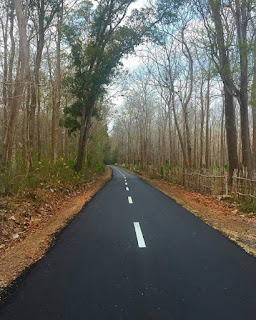 Jalan menuju Taman Nasional Alas Purwo sekarang sudah mulus dan bermarka.