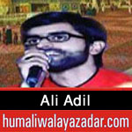 http://www.humaliwalayazadar.com/2017/04/ali-adil-manqabat-2017.html