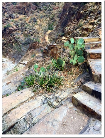 Window Trail...Big Bend