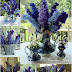 For the Love of Delphiniums!