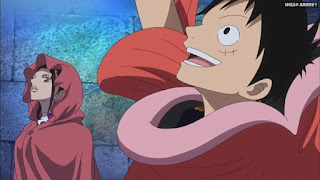 ワンピースアニメ ドレスローザ編 667話 ルフィ コイ 着ぐるみ Monkey D. Luffy | ONE PIECE Episode 667