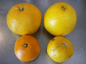 Hiroyuki S Blog On Japanese Cooking Yuzu And Other Citrus Fruits 柚子や他の柑橘系果物