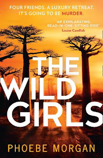 Book cover of The Wild Girls by Phoebe Morgan