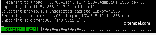 process install nginx