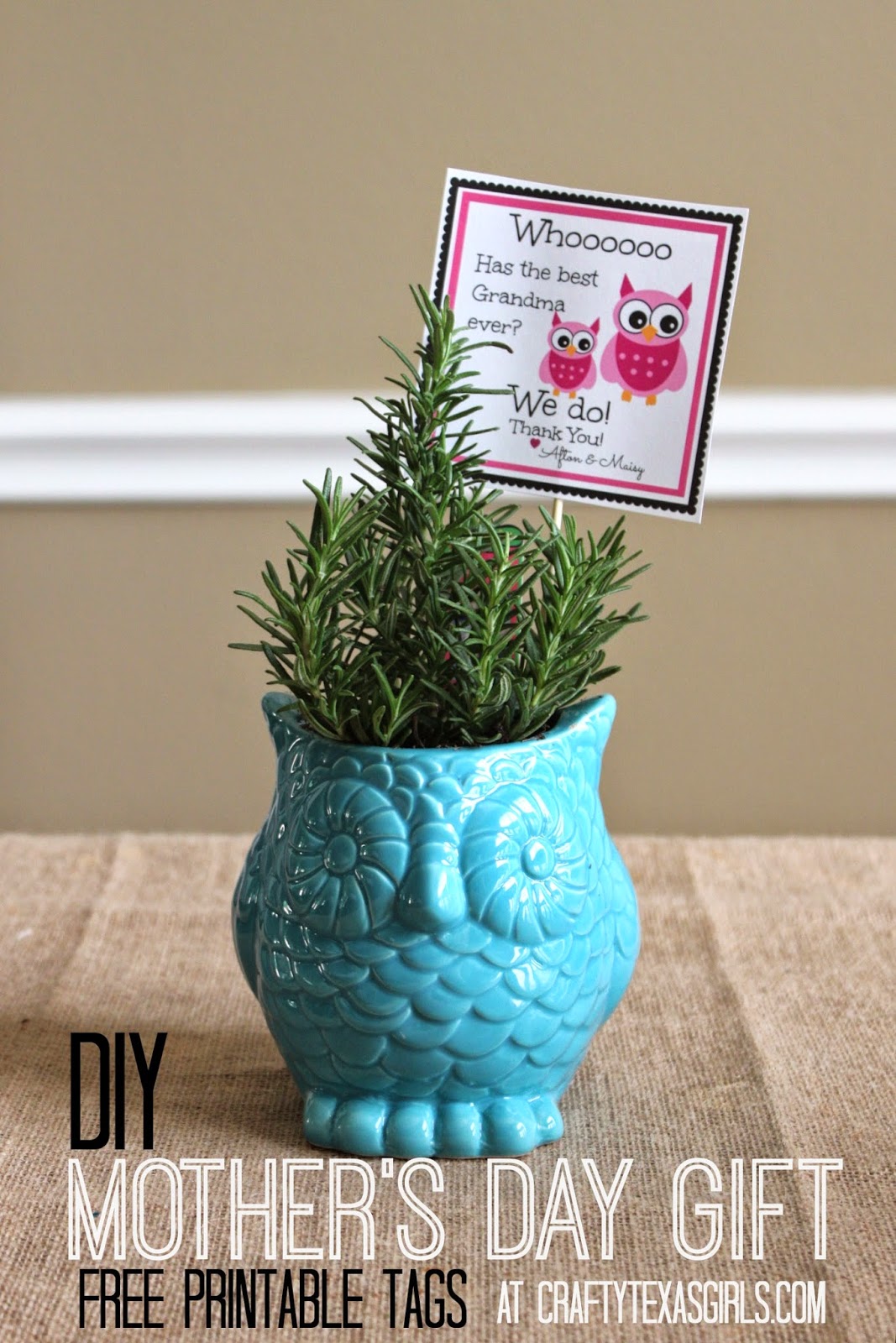 Crafty Texas Girls: DIY Gift Idea with an Owl Printable ...