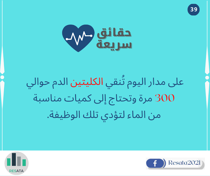 على مدار اليوم تُنقي الكليتين الدم حوالي 300 مرة وتحتاج إلى كميات مناسبة من الماء لتؤدي تلك الوظيفة