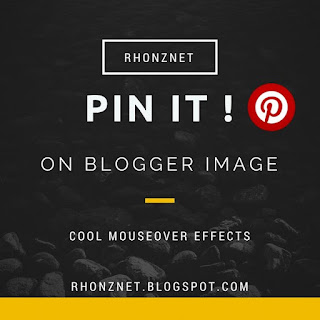 How to Add a Cool Pinterest Pin it Mouseover Button Effects on Blogger/Blogspot Image