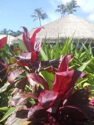 Kauai Grand Hyatt red ti leaves tiki hut tidepools restaurant