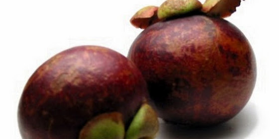 Manfaat Buah Manggis Yang Sebenarnya