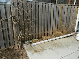 Scarborough Birch Cliff Backyard Spring Garden Cleanup After by Paul Jung Gardening Services a Toronto Gardening Company