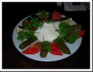 DSCN0473