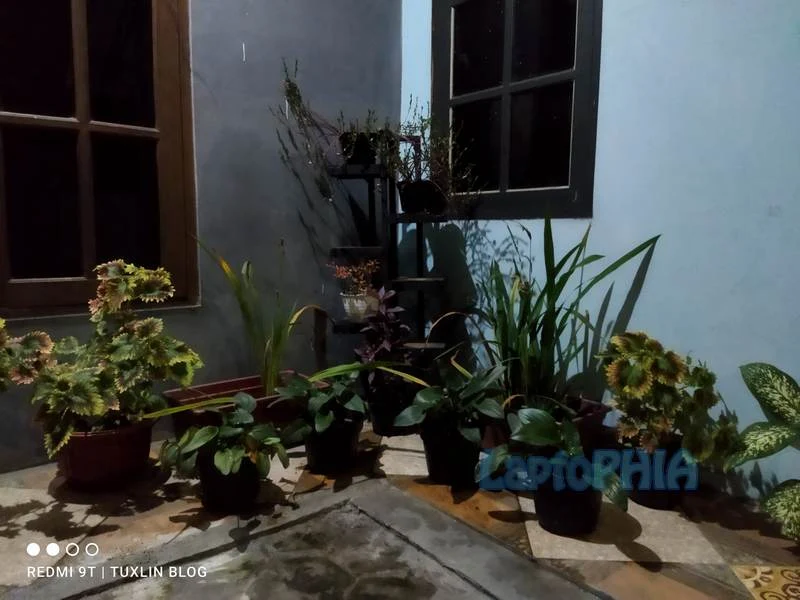 Hasil Foto Kamera Xiaomi Redmi 9T