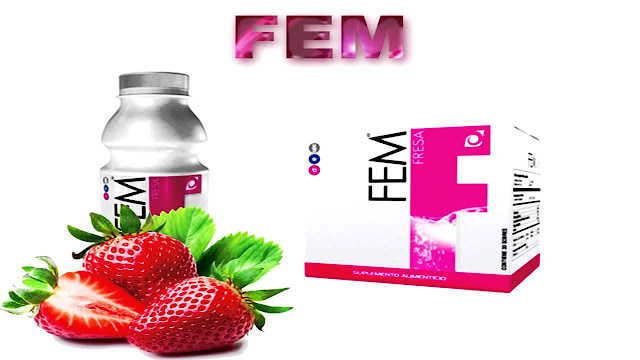  FEM