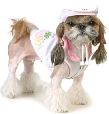 Dog Fashion Accessories