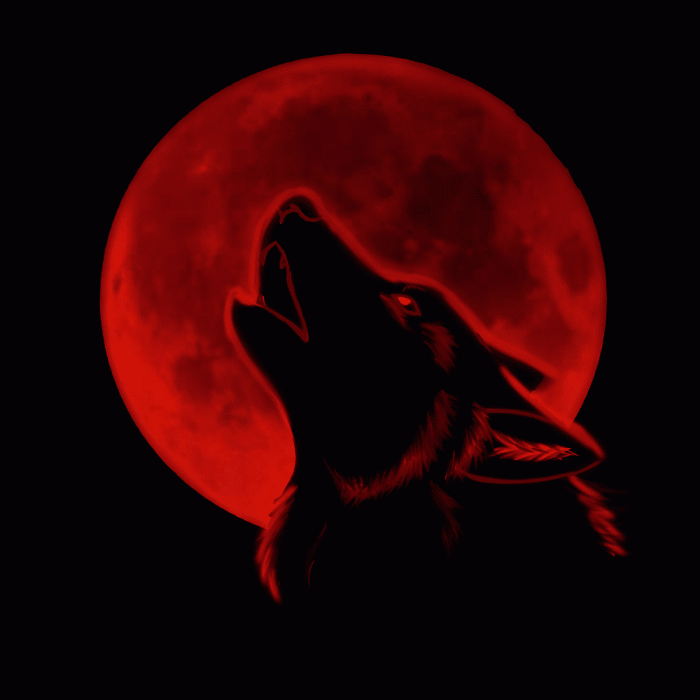 خلفيات الذئب الأسود مع العيون الحمراء