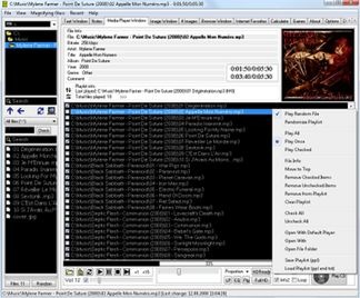 Ubiquitous Player