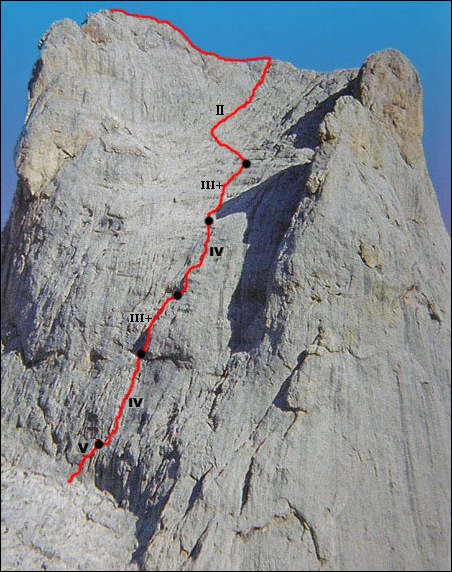 naranjo4