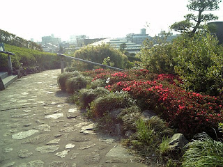 shibamata park