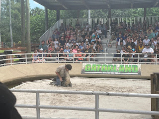 Alligators Legends of the Swamp demonstration showing that alligators have weak lower jaws and can be kept closed easily