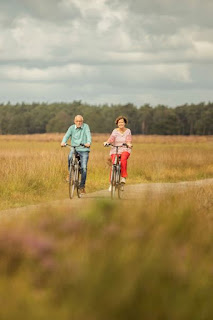 Ferienpark in Drenthe