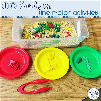 Fine Motor Activity Ideas for Special Education