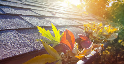 Gutter Cleaning