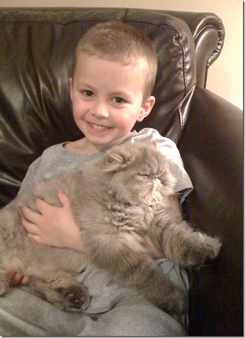 day 2 cat wyatt