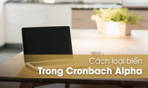 Cách loại biến trong phân tích Cronbach Alpha trên SPSS