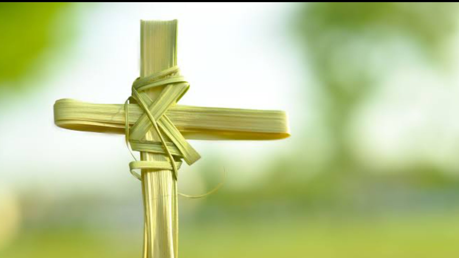 Palm Sunday Quotes and Wishes 2024