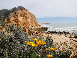 Quarteira Praia Falésia