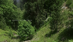 Himachal Pradesh, trek
