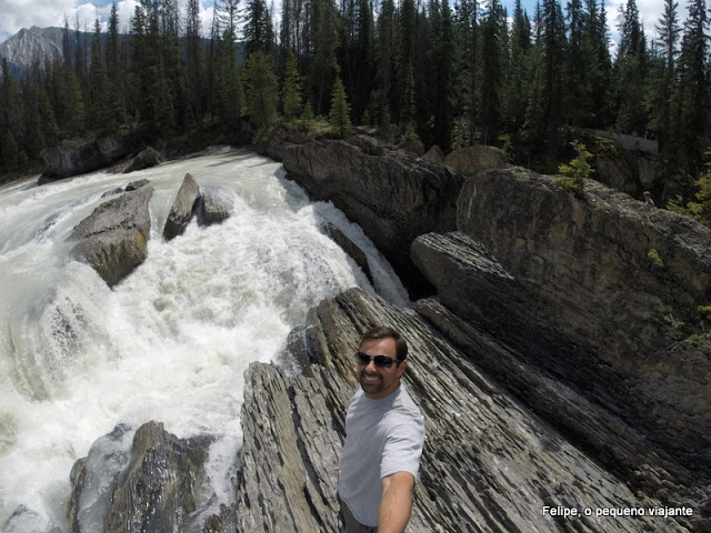 Kicking Horse river yoho park