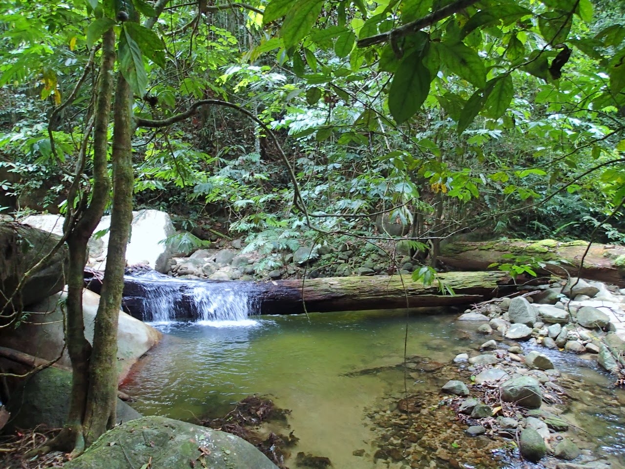 gunung berembun negeri sembilan