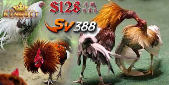 SITUS JUDI SABUNG AYAM ONLINE 24 JAM DAFTAR AGEN RESMI TERPERCAYA DI INDONESIA