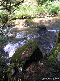 GERARDMER (88) - Le sentier écologique des Perles de la Vologne 