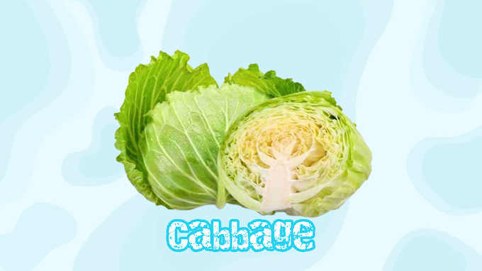 Benefits of Cabbage for Complete Body Health
