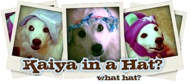 Kaiya in a Hat?