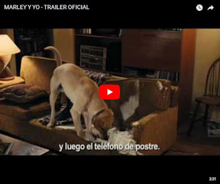 video Marley y yo-ranking mejores peliculas de perros