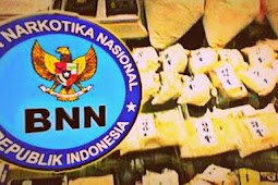 BNN Mimika Target Empat Kasus Narkoba