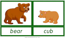 Animals and their babies -- bear - cub -- printable flashcards
