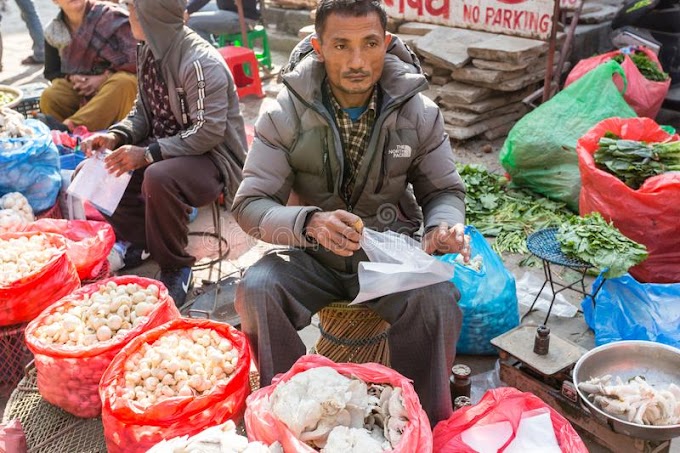 how to sell mushroom in india