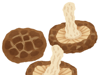 いろいろ しいたけ イラス��� 無料 307265-椎茸 イラスト 無料
