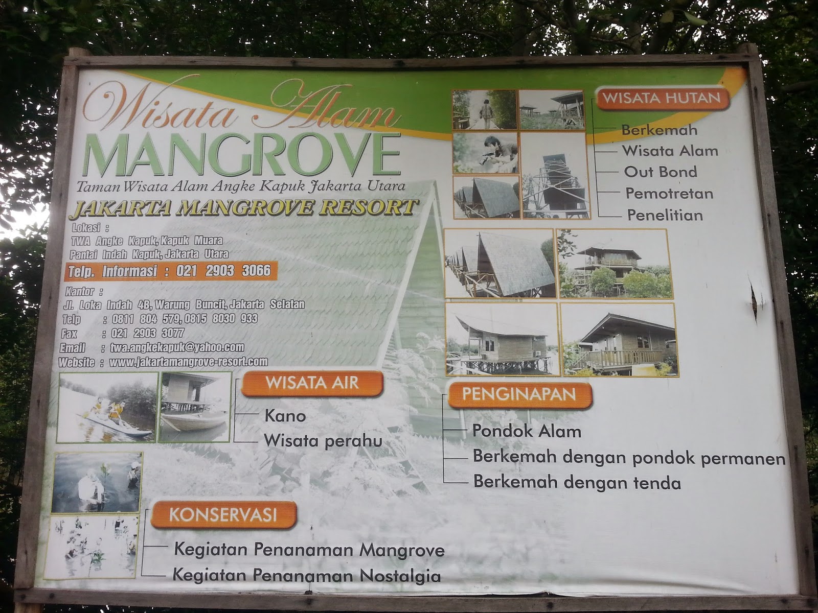 Taman Wisata Alam Angke Jakarta Nam Ngeliat Biawak Burung Burung