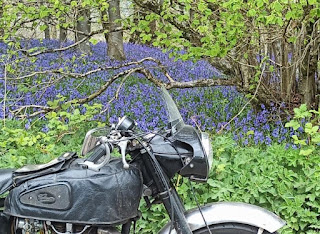 Motorcycle in front of blooming wildflowers.