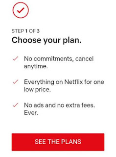 New Plans Of Netflix India.