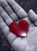 Heart shaped petal held gently in hands by D Sharon Pruitt - Click here to see her Flickr stream