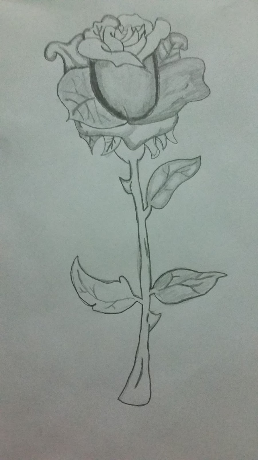 Hera Anggi Indrawati Cara Membuat Sketsa Bunga Mawar